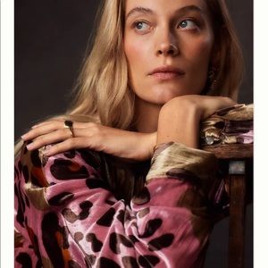 NWT Anthropologie Eleanor Velvet Tunic Dress